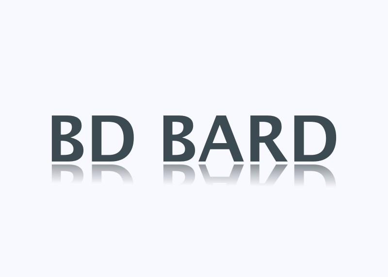 Bard 16F Red Rubber Intermittent Catheter, One Eye, Coude